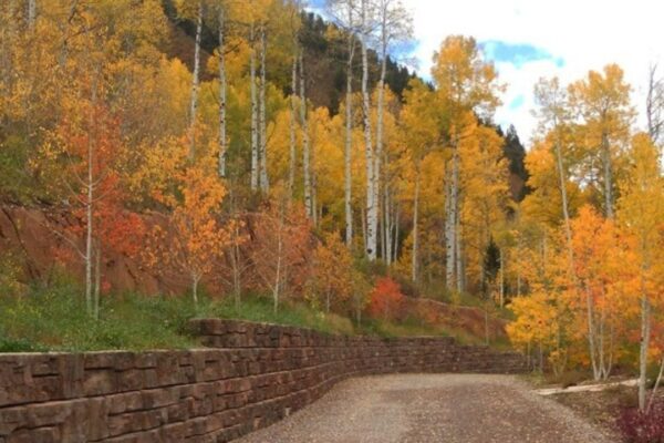 rock-retaining-wall-beside-the-highway-with-beautiful-trees-on-the-background